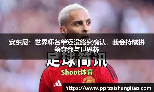 贝博BB艾弗森官网